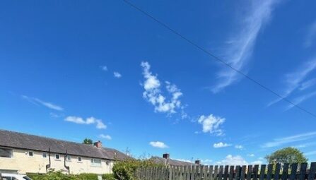 Rossetti Avenue