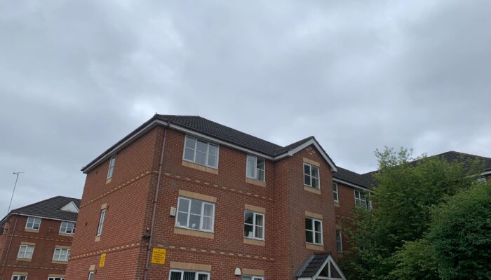 Georgette Drive