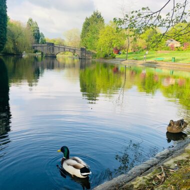 5 Underrated Best Areas to Live in Manchester
