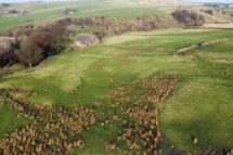 Halifax Road, Briercliffe