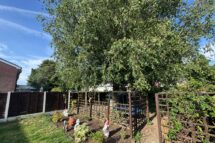 Wilton Gardens, Radcliffe
